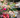 Why Local Flowers: On Character, Season, and Place