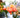 Celebrating American Flowers Week