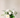 Why Every Business Deserves Fresh Flowers