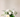 Why Flowers Make the Perfect Client Gift