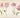 Tulip Mania — When Flowers Were Worth More Than Gold