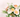 How to Care for Your Flowers