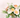 How to Care for Your Flowers