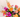 The Gift That Keeps on Giving — A Year of Flowers