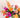 The Gift That Keeps on Giving — A Year of Flowers
