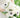 Weddings at La Terre