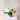 Designers Choice - Small