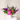 Designers Choice - Medium