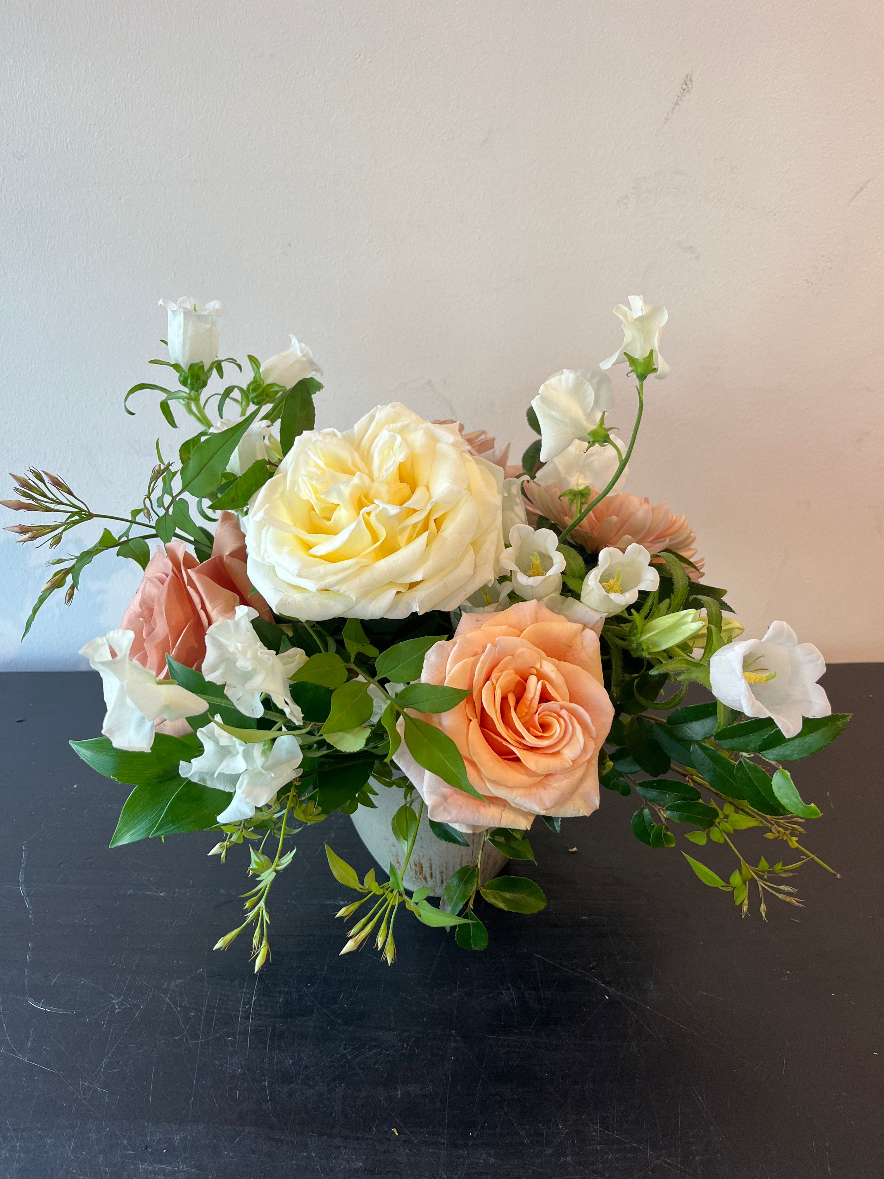 Designers Choice - Medium