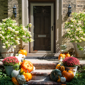 Set up (26 pumpkins)